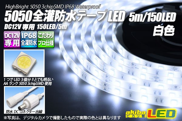 画像1: 全灌防水テープLED 30LED/m IP68 白色 5m (1)