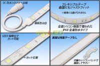 画像1: 全灌防水テープLED 30LED/m IP68 白色 5m