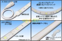 画像1: 全灌防水テープLED 30LED/m IP68 電球色 5m