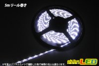 画像2: 5m側面発光クリアドームテープLED