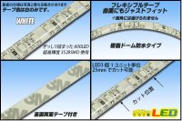 画像1: カット品 3528/120LED クリアドーム 電球色