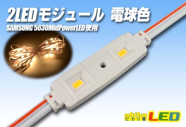 画像1: SAMSUNG 2LEDモジュール 電球色 (1)