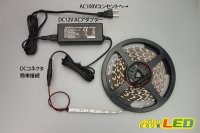 画像3: 5050テープLED 60LED/m 非防水 赤色 1-5m