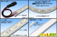 画像1: 24VテープLED60LED/mシリコン防水 白色 10m