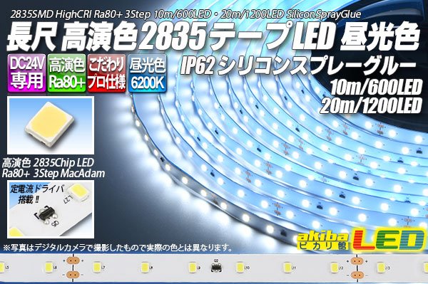 画像1: 24V SSG 2835テープLED 60LED/m 6200K 10m/20m (1)