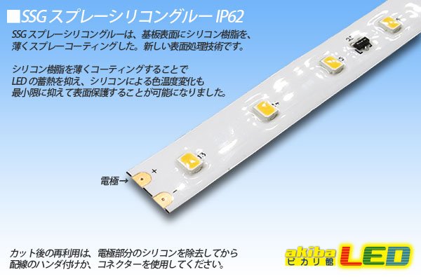 画像5: 24V SSG 2835テープLED 60LED/m 6200K 10m/20m (5)