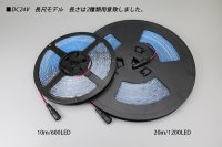 画像2: 24V SSG 2835テープLED 60LED/m 6200K 10m/20m