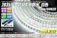 画像1: 2835テープLED 非防水 白色 5m/600LED (1)