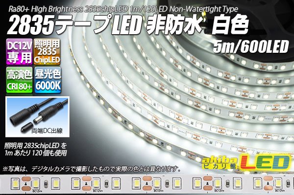 画像1: 2835テープLED 非防水 白色 5m/600LED (1)