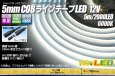 画像1: 5mm COBラインテープLED 5m/2000LED 昼光色 6000K (1)