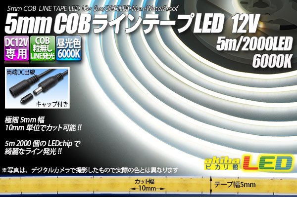 画像1: 5mm COBラインテープLED 5m/2000LED 昼光色 6000K (1)