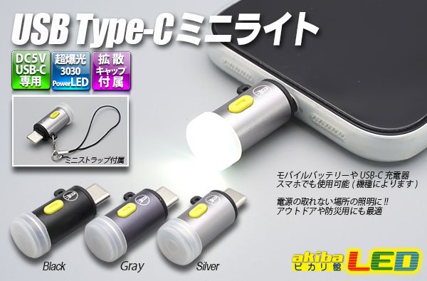画像1: USB Type-C ミニライト (1)