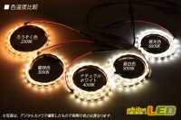 画像3: 超高演色2835テープLED 60LED/m 非防水 電球色 3000K 1-5m