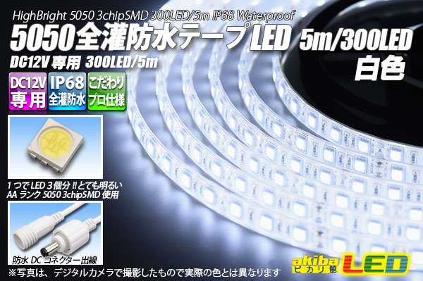 画像1: 全灌防水テープLED 60LED/m IP68 白色 1-5m (1)