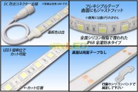 画像1: 全灌防水テープLED 60LED/m IP68 電球色 1-5m