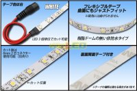 画像1: 3528テープLED 60LED/m 非防水 白色 5m