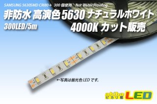 カット品 5630/300LED 非防水 昼白色 5000K - akibaLED ピカリ館
