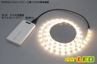 画像2: DC5V 3528テープLED 60LED/m 防水 電球色 1m