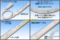 画像1: 全灌防水3528テープLED 60LED/m IP68 白色 5m