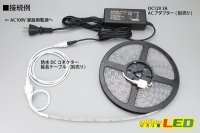 画像2: 全灌防水3528テープLED 60LED/m IP68 電球色 5m