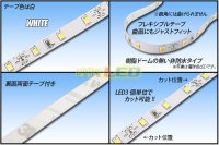 画像1: カット品 高演色2835/300LED 非防水 昼白色 5000K