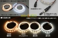 画像3: 超高演色3528テープLED 60LED/m 非防水 ナチュラルホワイト 4000K 1-5m