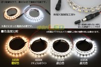 画像3: 超高演色5050テープLED 60LED/m 非防水 電球色 3000K 1-5m